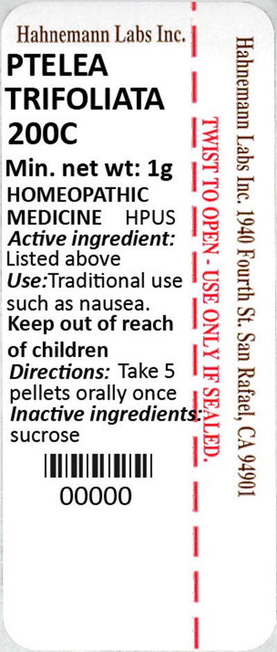 Ptelea Trifoliata 200C 1g - Ptelea Trifoliata 200C 1g